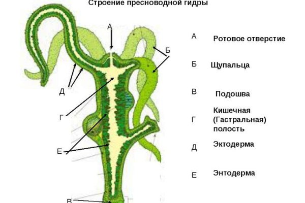 Какой нужен тор чтоб зайти в кракен