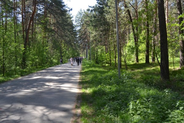 Кракен это современный даркнет