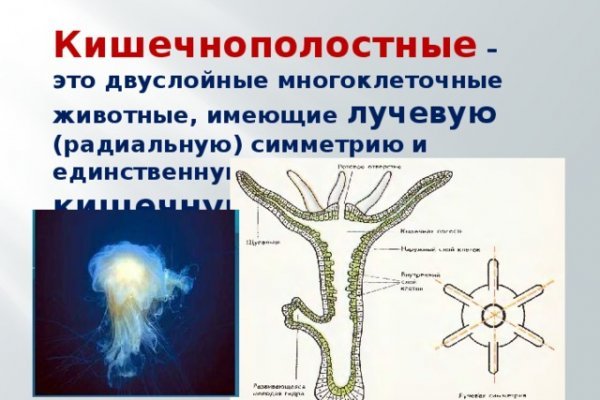 Как найти актуальную ссылку на кракен